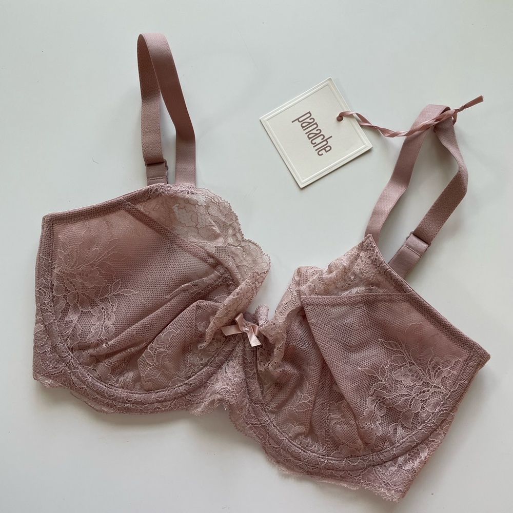 Pananche Ana plunge Bra Size 32FF (UK sizing) Lace Bra Nude; Brand New with Ta…